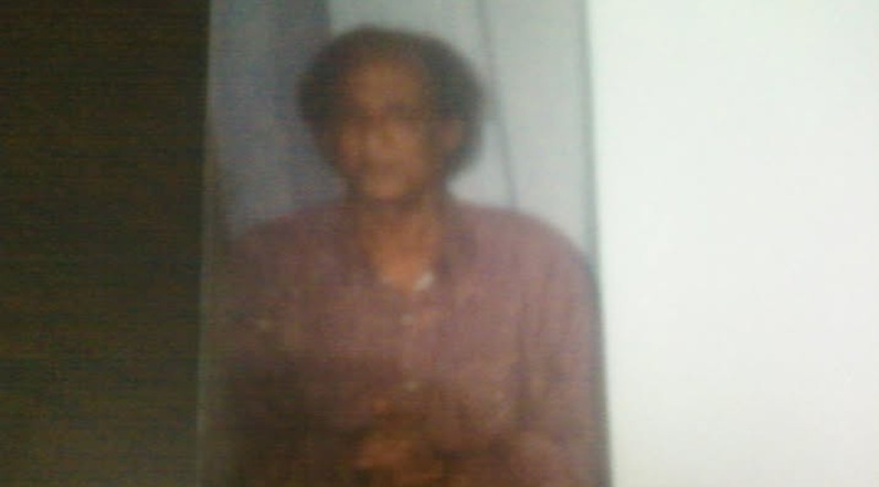 শ্রদ্ধাঞ্জলি কবি শামসুল ইসলাম ( ভাইছা )